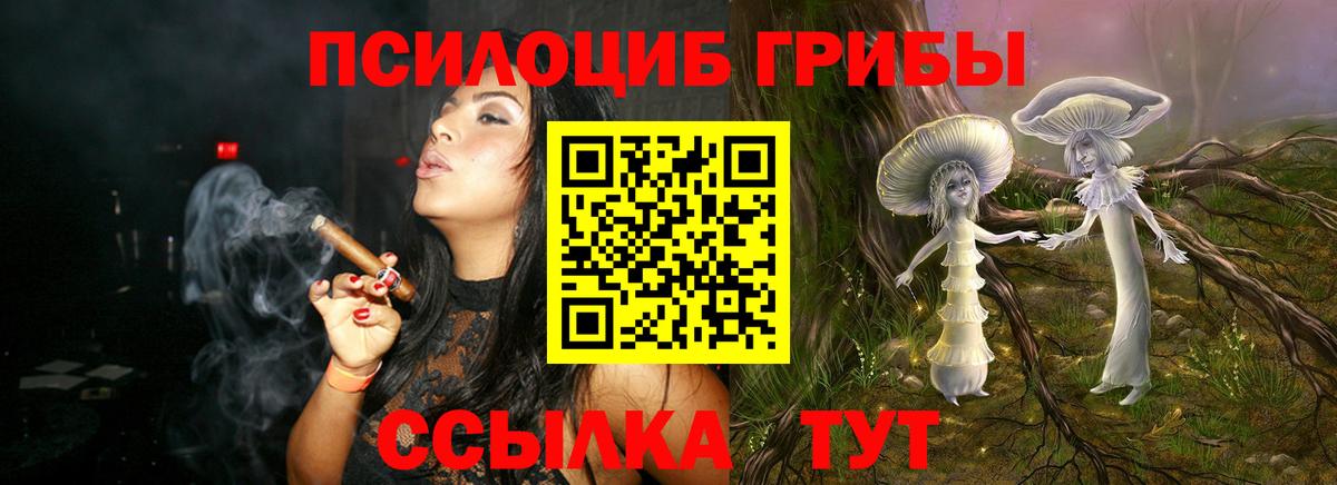 Псилоцибиновые грибы MAGIC MUSHROOMS Ржев
