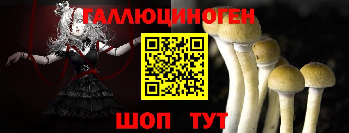 Галлюциногенные грибы мицелий  Вход с VPN  Псилоцибиновые грибы мицелий  Ржев 